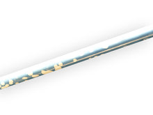 Load image into Gallery viewer, CHAMPAGNE - BANG FOR YOUR BUCK - 15 SKINZ